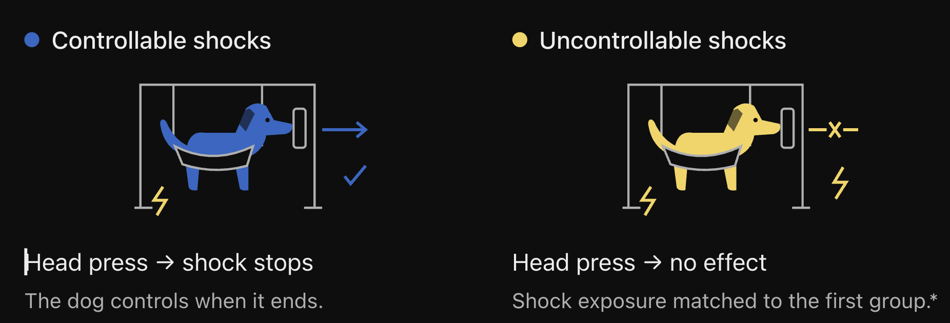 Diagram comparing dogs exposed to controllable and uncontrollable shocks; a head press stops the shock only in the controllable condition.